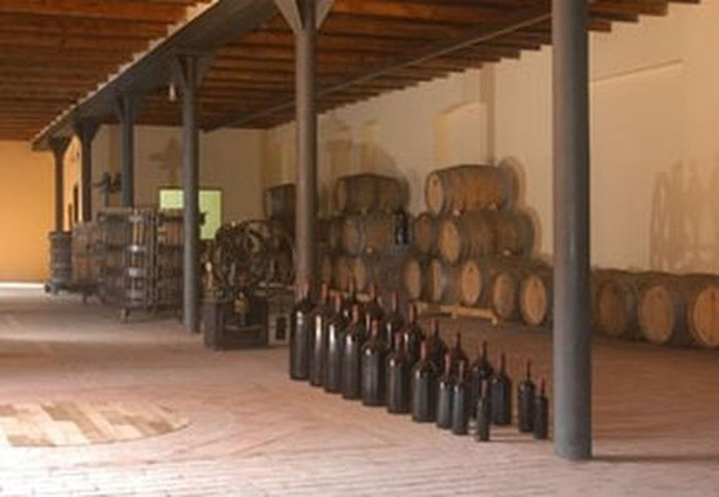 Hostal Europa Castejón Εξωτερικό φωτογραφία